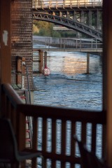 Fotograf Felix Wild - Zürich Albisrieden